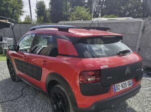 C4 cactus