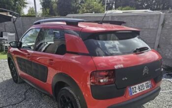C4 cactus