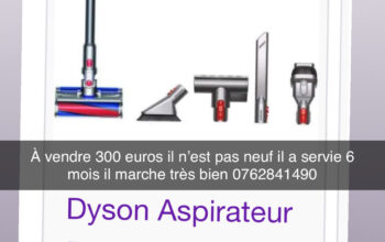 Aspirateur dyson