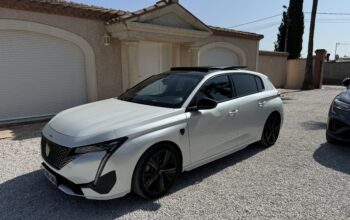 Peugeot 308 gt 225