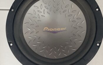 Pionner
