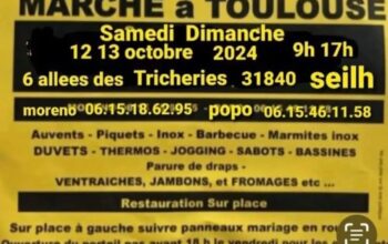Marché des voyageurs toulouse