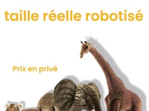 A vendre animaux robotisé