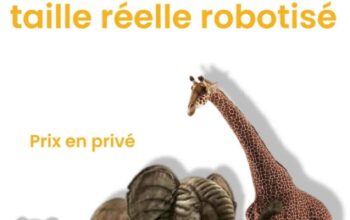 A vendre animaux robotisé