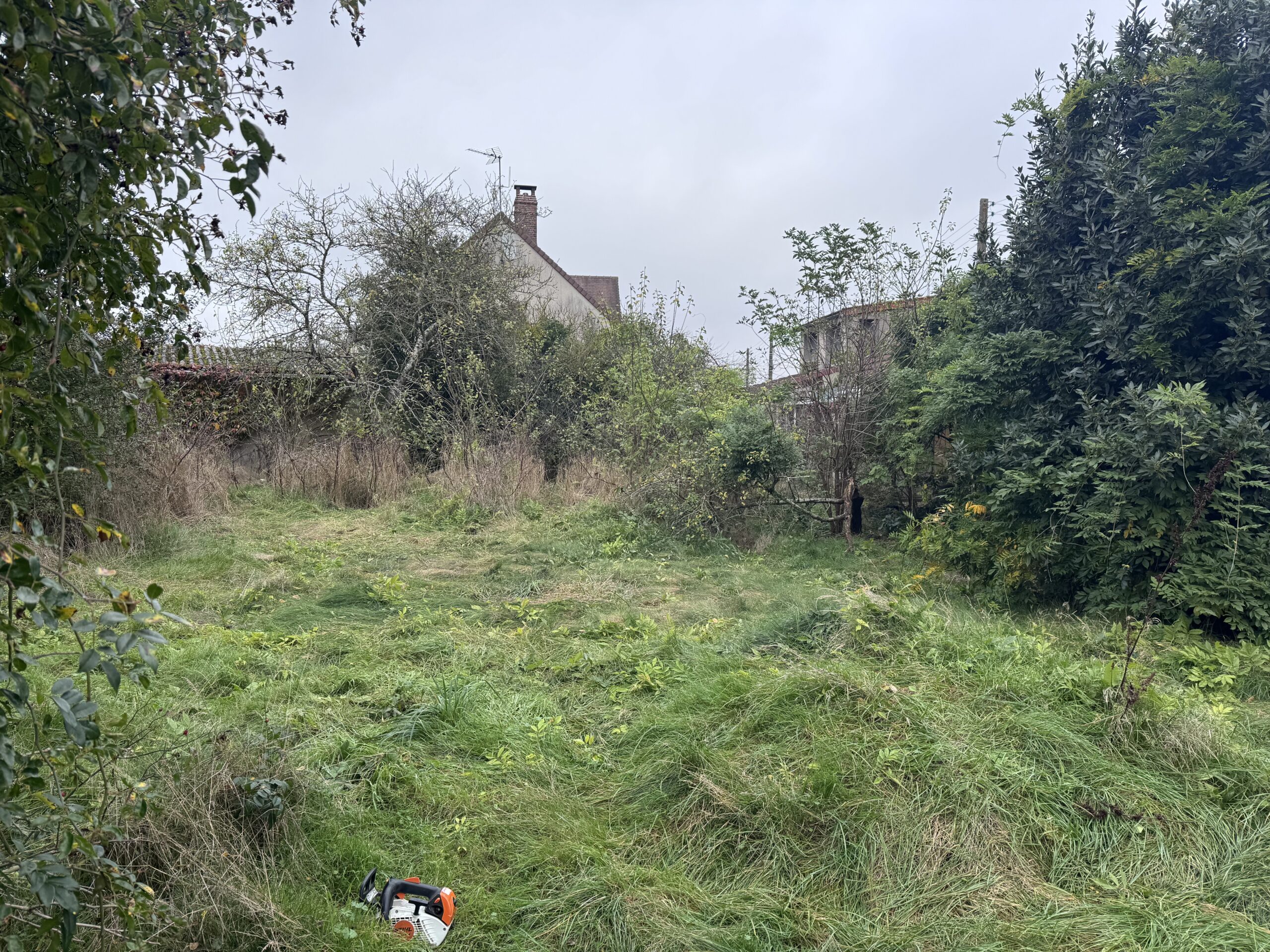 Terrain recherche
