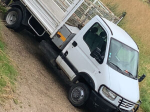 Renault mascotte benne