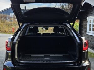 lexus Rx450 fille option