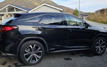 lexus Rx450 fille option